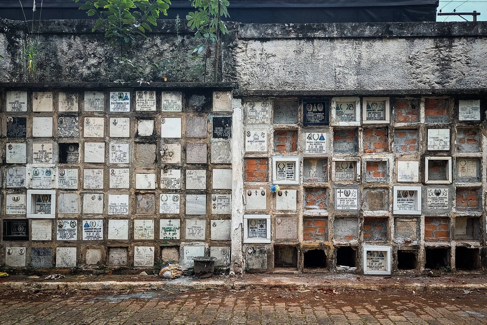 A imagem mostra uma parede de mausoléus em um cemitério, com várias gavetas de sepultamento. A parede à esquerda é composta por nichos brancos, enquanto a da direita apresenta nichos de tijolos expostos. Alguns nichos têm placas com inscrições, e a vegetação está visível na parte superior da imagem.