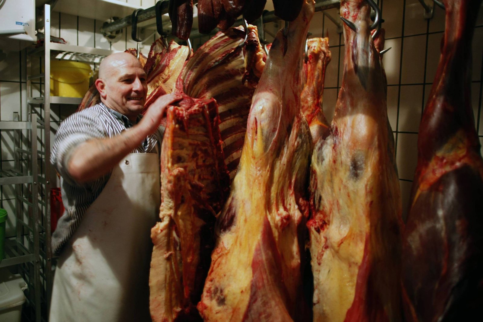 Um homem está trabalhando em um açougue, cercado por grandes pedaços de carne pendurados em ganchos. Ele usa um avental e uma camisa listrada, e parece estar manipulando um dos cortes de carne com as mãos. O ambiente é de um açougue, com prateleiras ao fundo e utensílios de trabalho visíveis.
