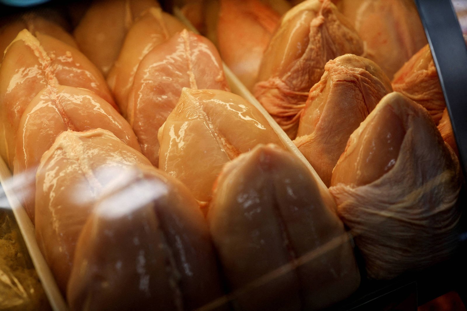 A imagem mostra uma vitrine refrigerada com peitos de frango dispostos em fileiras. Os peitos de frango têm uma coloração rosa clara e estão organizados de forma que alguns estão em uma bandeja, enquanto outros estão empilhados. A iluminação da vitrine destaca a textura e a aparência fresca da carne.
