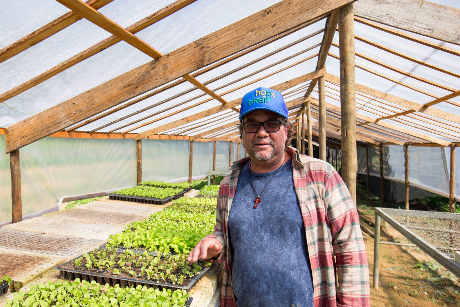 Um homem está posando em uma estufa de cultivo, cercado por fileiras de mudas de alface. Ele usa um boné azul e óculos, e está vestido com uma camisa xadrez sobre uma camiseta cinza. A estufa é feita de madeira e plástico transparente, permitindo a entrada de luz natural. O ambiente é bem iluminado e as plantas parecem saudáveis.