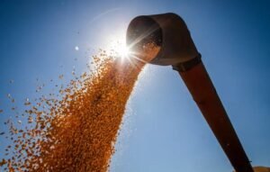 Brasil poderá ter novo recorde na produção de grãos na safra 2024/2025