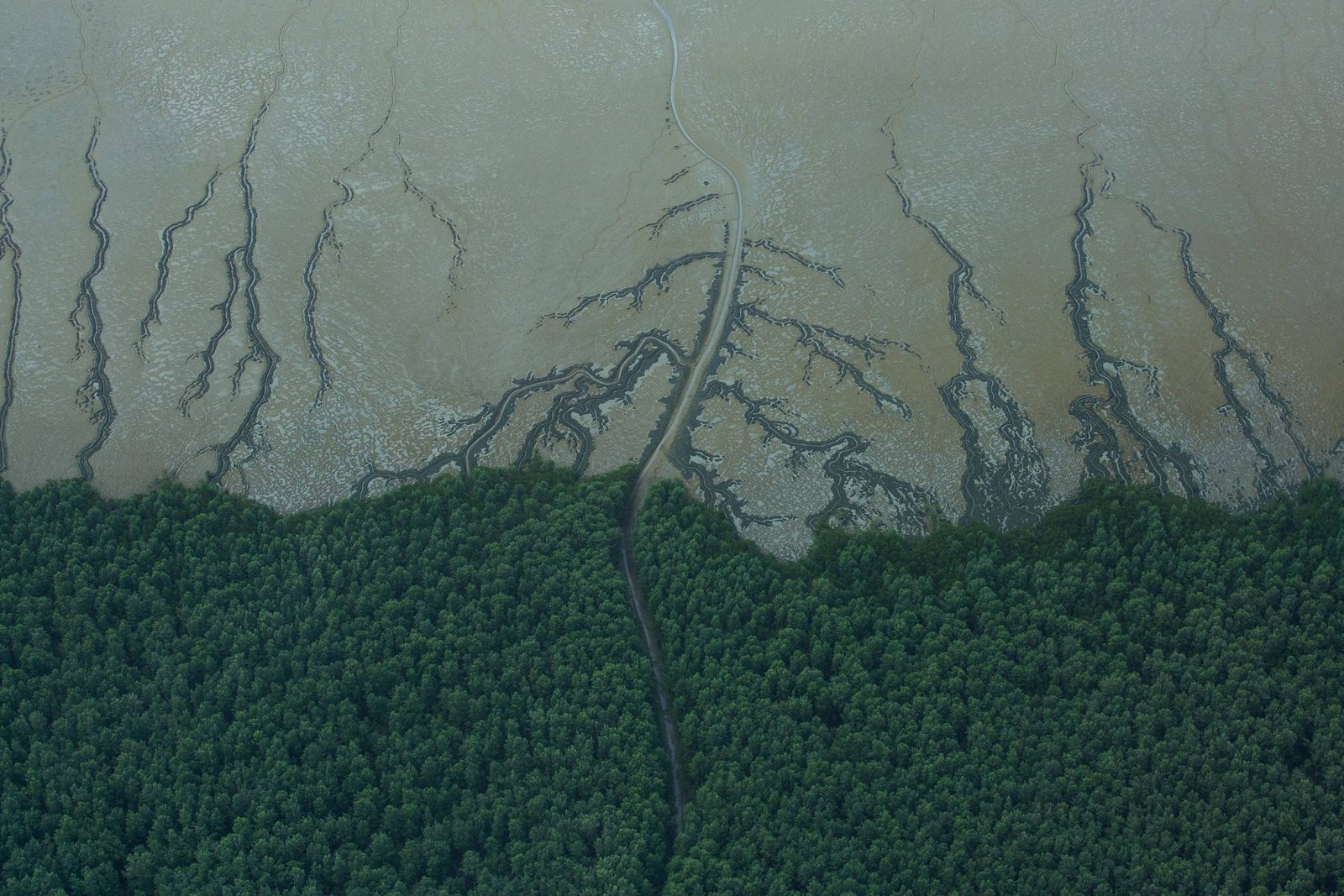 Foz do Amazonas: Ibama pede estudo ambiental estrutural - 14/06/2025 - Ambiente