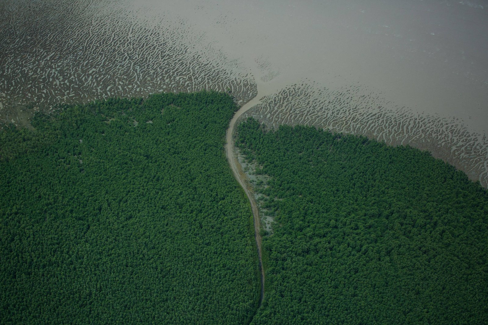 Leilão de petróleo põe Brasil no foco de ambientalistas - 16/06/2025 - Ambiente