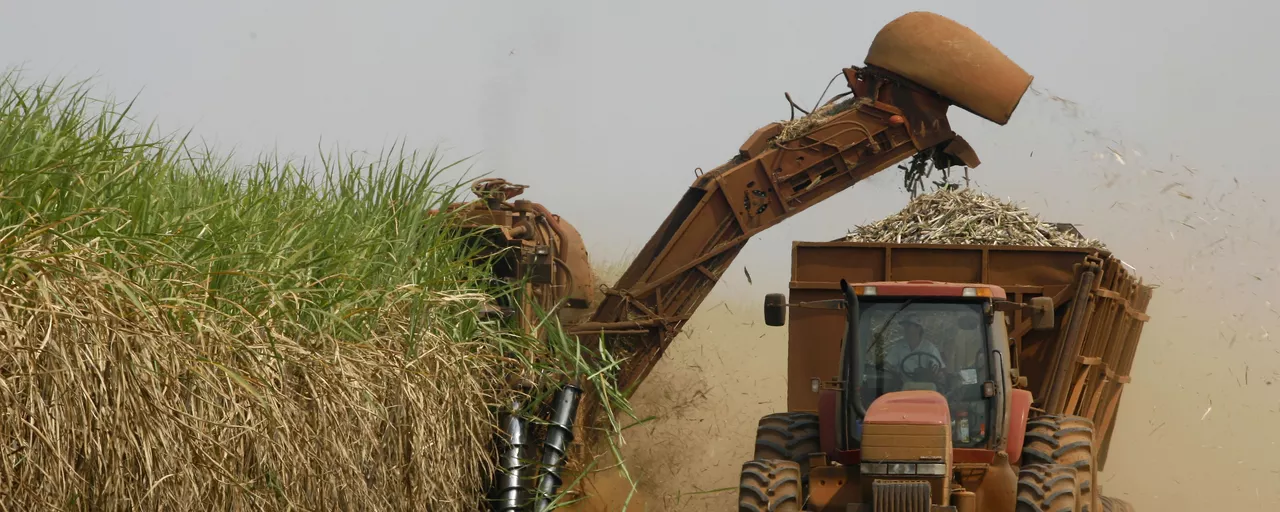 O 'mapa da mina' do agro brasileiro está se redesenhando