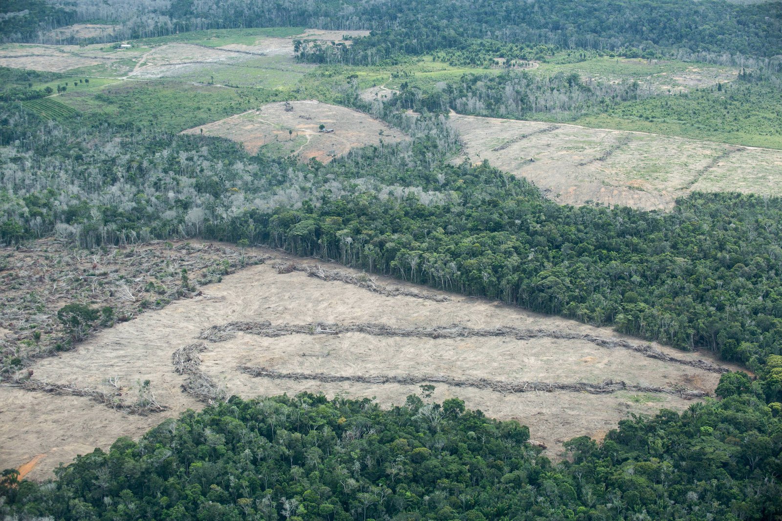 A imagem mostra uma área de desmatamento na Amazônia, com grandes trechos de floresta derrubada e solo exposto. À esquerda, há uma área de vegetação densa, enquanto à direita, o terreno está mais claro, indicando áreas desmatadas. O contraste entre as áreas verdes e as áreas desmatadas é evidente, refletindo a degradação ambiental.