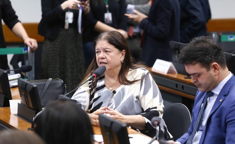 Discussão e votação de propostas legislativas. Dep. Laura Carneiro (PSD-RJ)