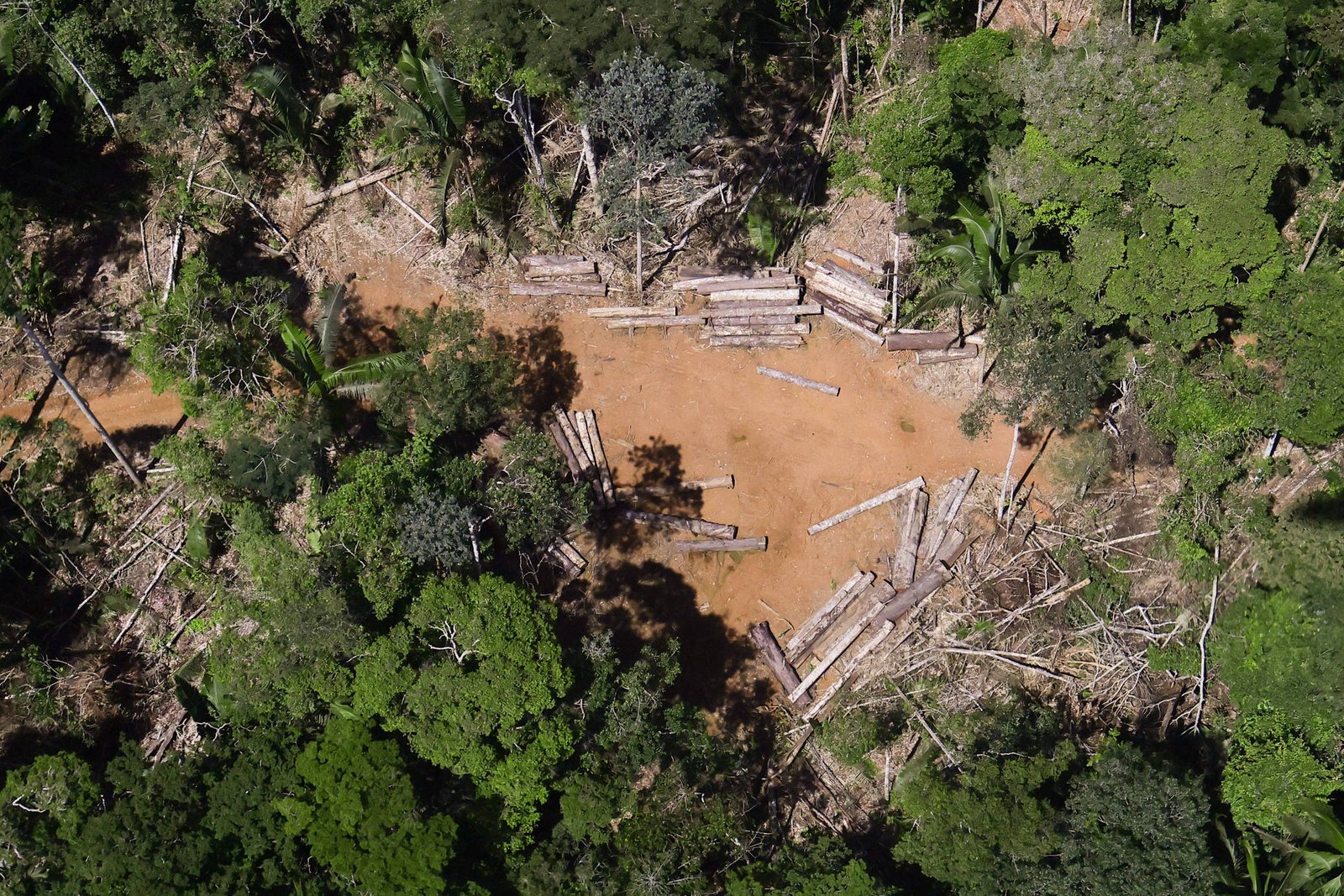 A imagem mostra uma área de floresta com árvores cortadas e troncos de madeira dispostos no solo. A vegetação ao redor é densa, com árvores verdes e folhas, enquanto o solo é de cor marrom, indicando a terra exposta. A cena é vista de cima, evidenciando a extensão do desmatamento.