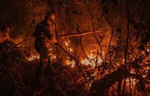 Fundo Amazônia aprova R$ 150 milhões para prevenção e combate a incêndios no Cerrado e no Pantanal