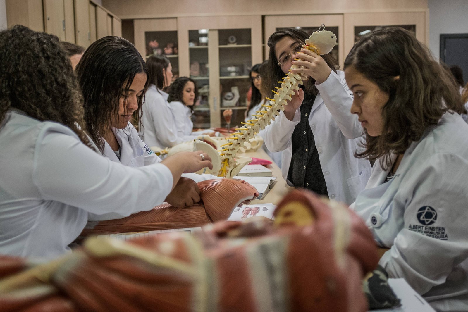 A imagem mostra um grupo de estudantes em um laboratório de anatomia. Eles estão usando jalecos brancos e interagem com modelos anatômicos, incluindo um modelo de coluna vertebral e músculos. O ambiente é bem iluminado e organizado, com prateleiras ao fundo contendo mais modelos e materiais de estudo.