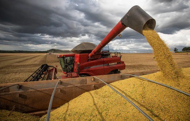 Produção brasileira de grãos deve ser 14,2% maior