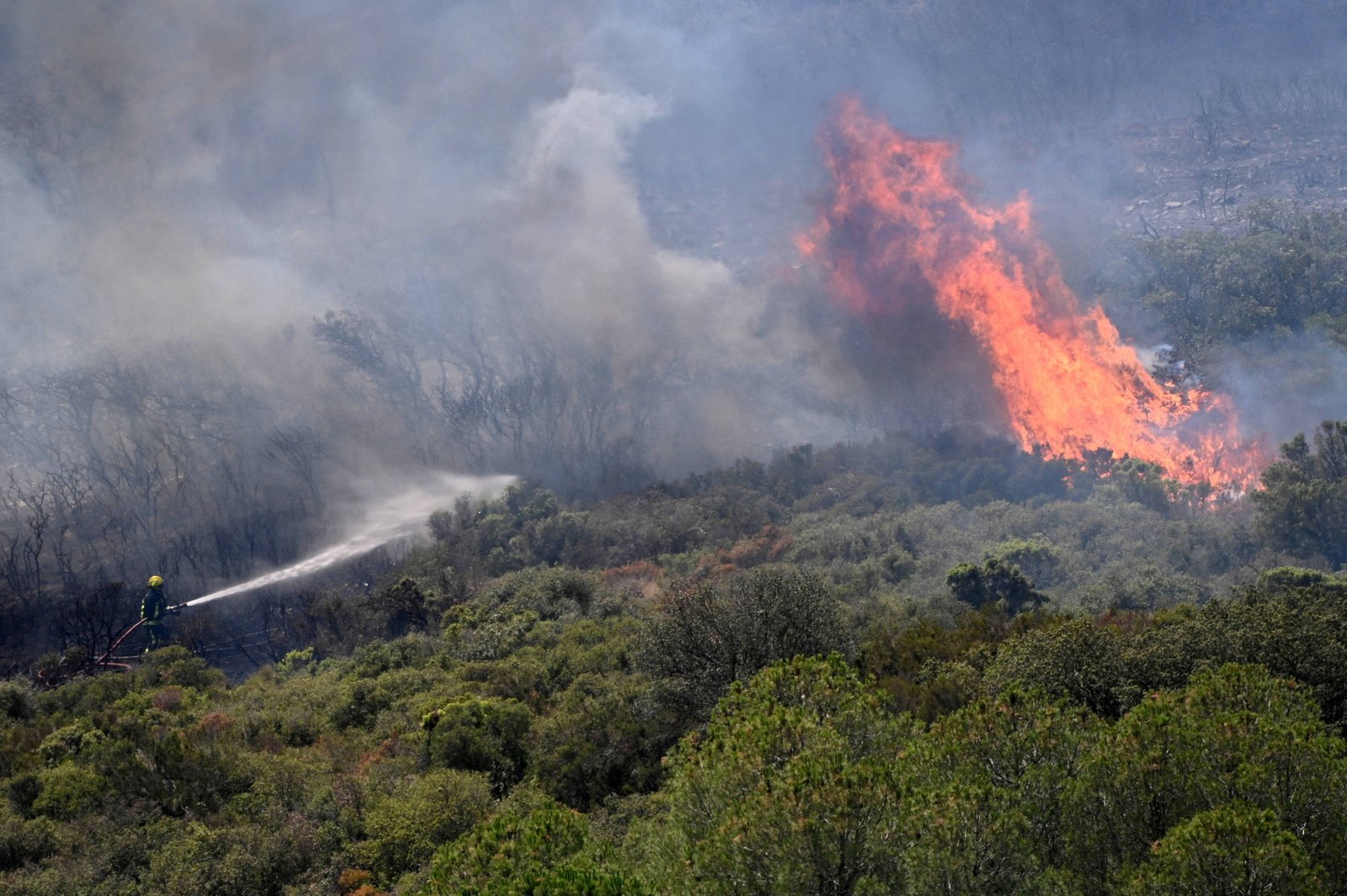 A imagem mostra um incêndio florestal em uma área de vegetação. Chamas intensas estão visíveis à direita, enquanto fumaça densa se espalha pelo ar. Um bombeiro, visível à esquerda, está utilizando um equipamento para combater o fogo, direcionando água em direção às chamas. A vegetação ao redor é predominantemente verde, mas algumas áreas estão queimadas.