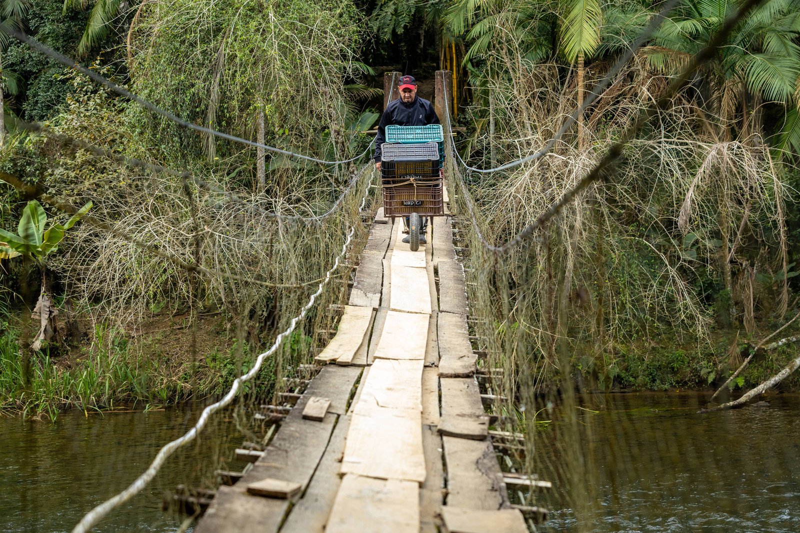 A imagem mostra uma ponte suspensa feita de madeira e cordas, sobre um rio. Um ciclista está atravessando a ponte, transportando uma carga em uma caixa na parte traseira da bicicleta. Ao fundo, há vegetação densa, incluindo árvores e plantas, que cercam a área ao redor da ponte.