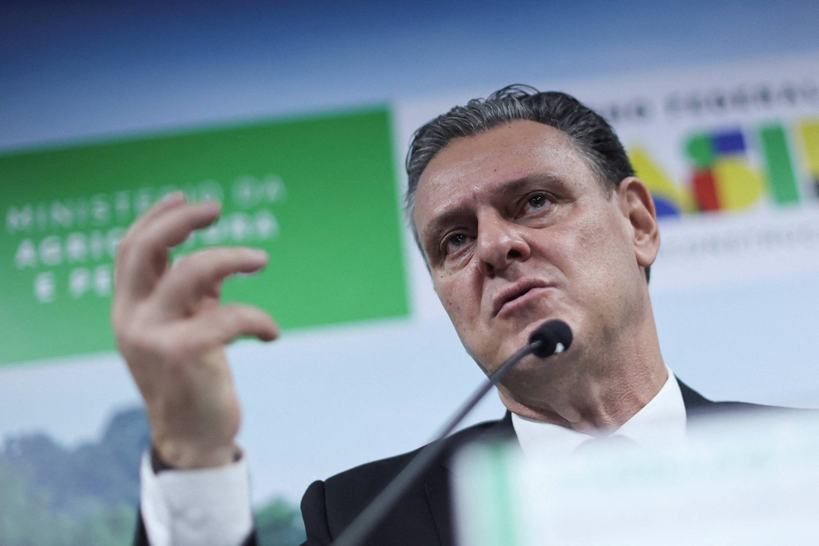 Um homem em um terno escuro está falando em uma conferência. Ele gesticula com a mão direita enquanto se expressa. Ao fundo, há um banner do Ministério da Agricultura e Pecuária do Brasil, com cores verde e azul. O ambiente parece ser um auditório ou sala de conferências.