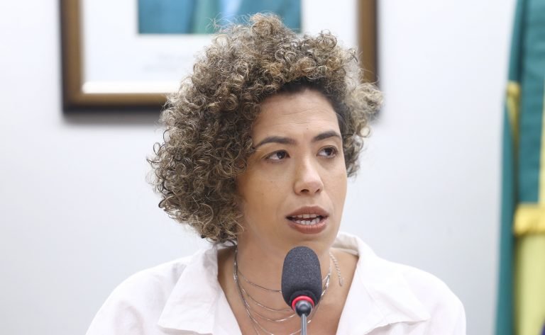 Deputada Talíria Petrone (Psol-RJ) fala no Plenário da Câmara dos Deputados
