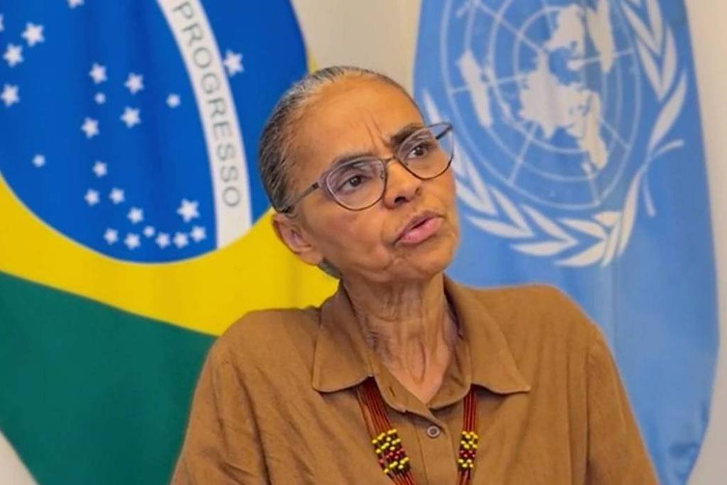 A imagem mostra uma mulher com cabelo preso e óculos, vestindo uma blusa marrom. Ela está falando e parece estar em uma conferência ou entrevista. Ao fundo, há a bandeira do Brasil e um estandarte da ONU. A mulher tem um colar colorido e expressa uma postura de fala ativa.