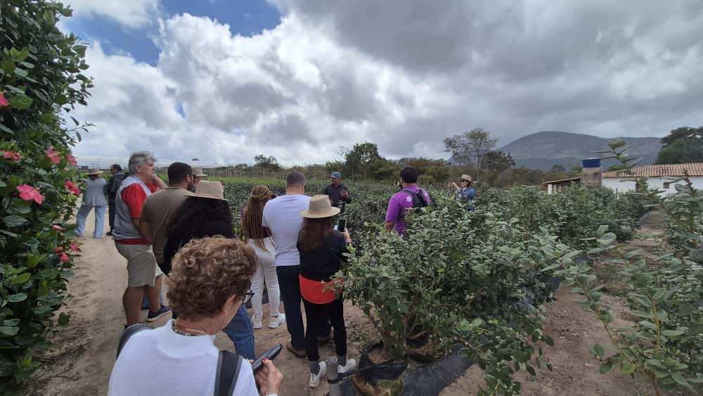 Sabores, aromas e paisagens: Chapada Diamantina encanta em mais um dia de experiências nas Rotas Especiais | ASN Bahia