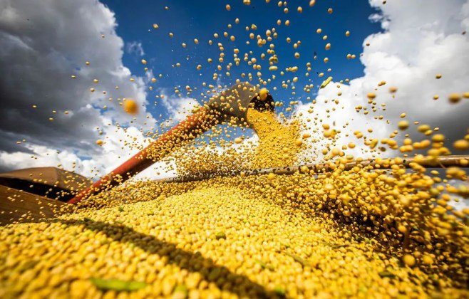 Brasil aumenta exportação de soja para a China, ocupando lugar dos EUA