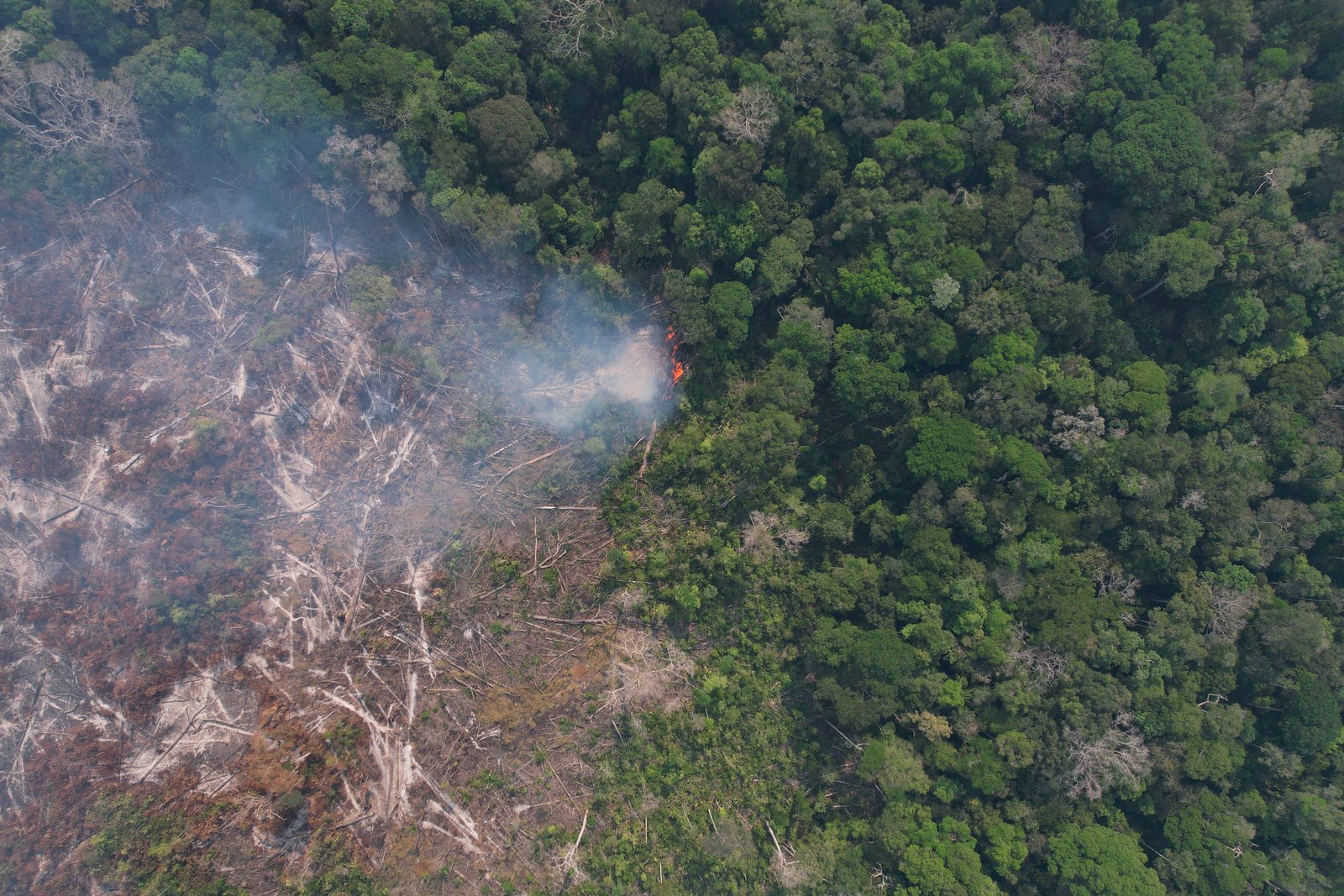 Fumaça e chamas visíveis na transição entre área desmatada e floresta densa na Amazônia. Vegetação verde contrasta com terreno queimado e árvores derrubadas.