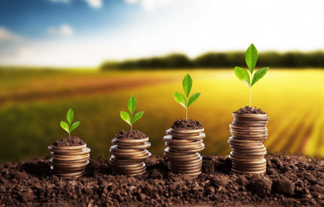 Brasil pode bater recorde de safra com 354,8 milhões de toneladas de grãos em 2025/26