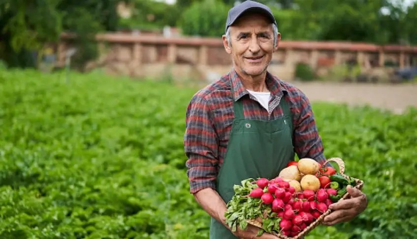XII Semana do Campo capacitará produtores nos municípios de Andorinha, Jaguarari e Senhor do Bonfim | ASN Bahia