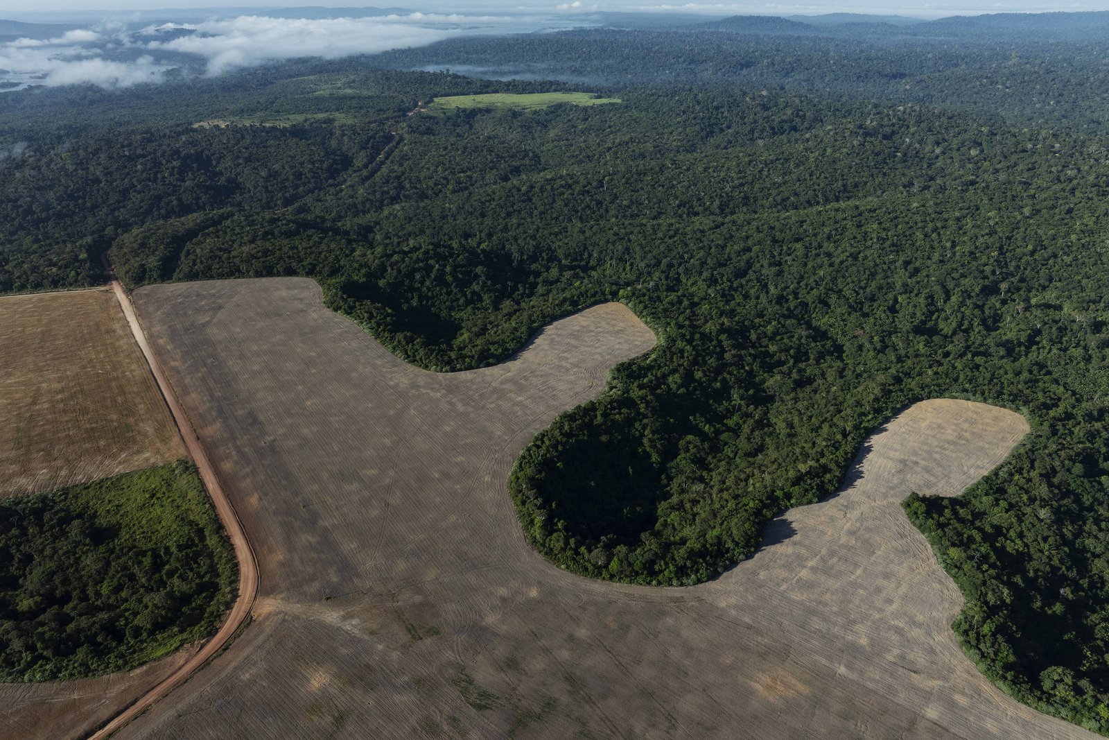 A imagem mostra uma área de floresta amazônica ao lado de uma região desmatada. A parte desmatada é de solo exposto, com algumas áreas de vegetação remanescente nas bordas. Ao fundo, é possível ver uma densa floresta verde, contrastando com a terra seca e clara da área desmatada. O céu está parcialmente nublado, e há uma leve neblina sobre a floresta ao fundo.