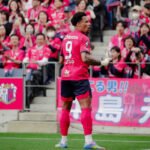 ratao, emprestado pelo bahia