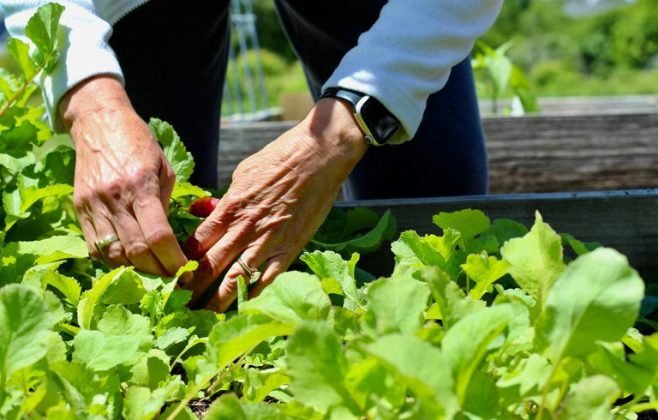 Fundo de Financiamento ao Nordeste terá orçamento recorde para ampliar apoio à base produtiva