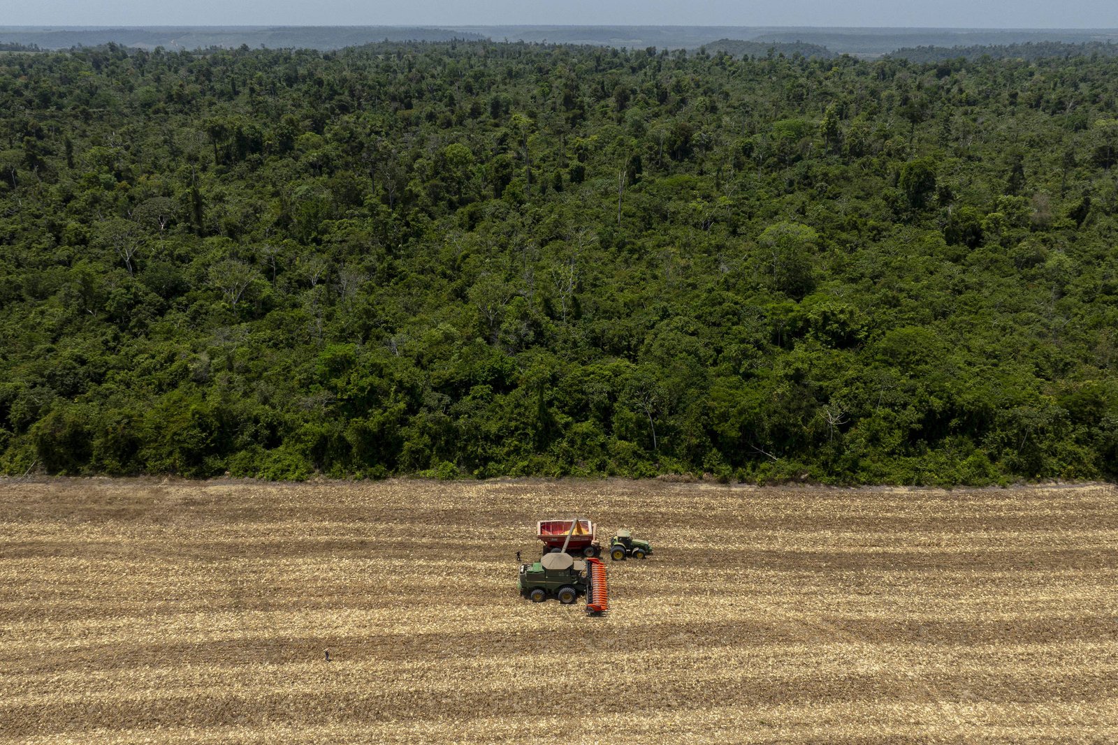 Máquina agrícola percorre lavoura de tons claros. Ao fundo, há uma área de floresta verde e densa.