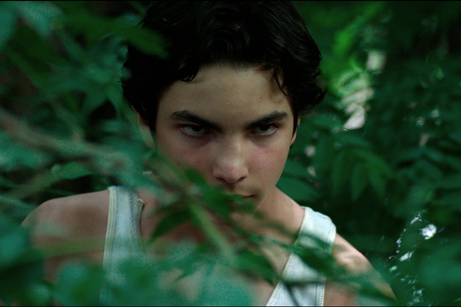 Diretora da Venezuela mostra país entre fábula e thriller - 04/02/2026 - Ilustrada