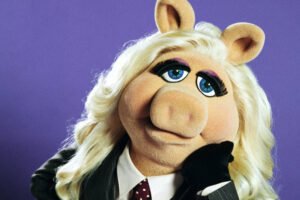 Como Miss Piggy, dos Muppets, se tornou um ícone pop - 07/02/2026 - Ilustrada