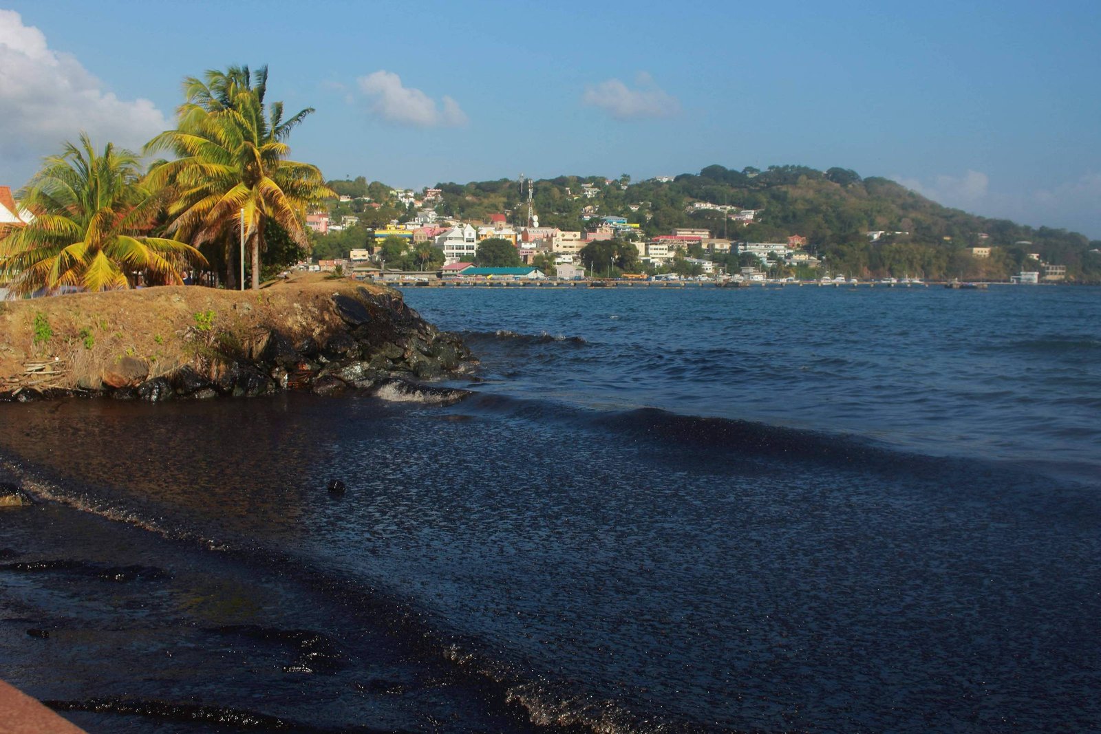 Vista da costa com palmeiras à esquerda e água escura do mar à direita. Ao fundo, colina com casas e prédios sob céu azul com poucas nuvens.
