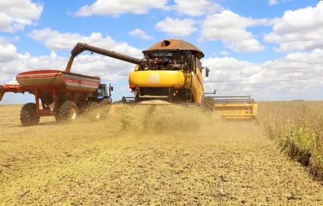 Produção da soja tem previsão de novo recorde na série histórica em 2026
