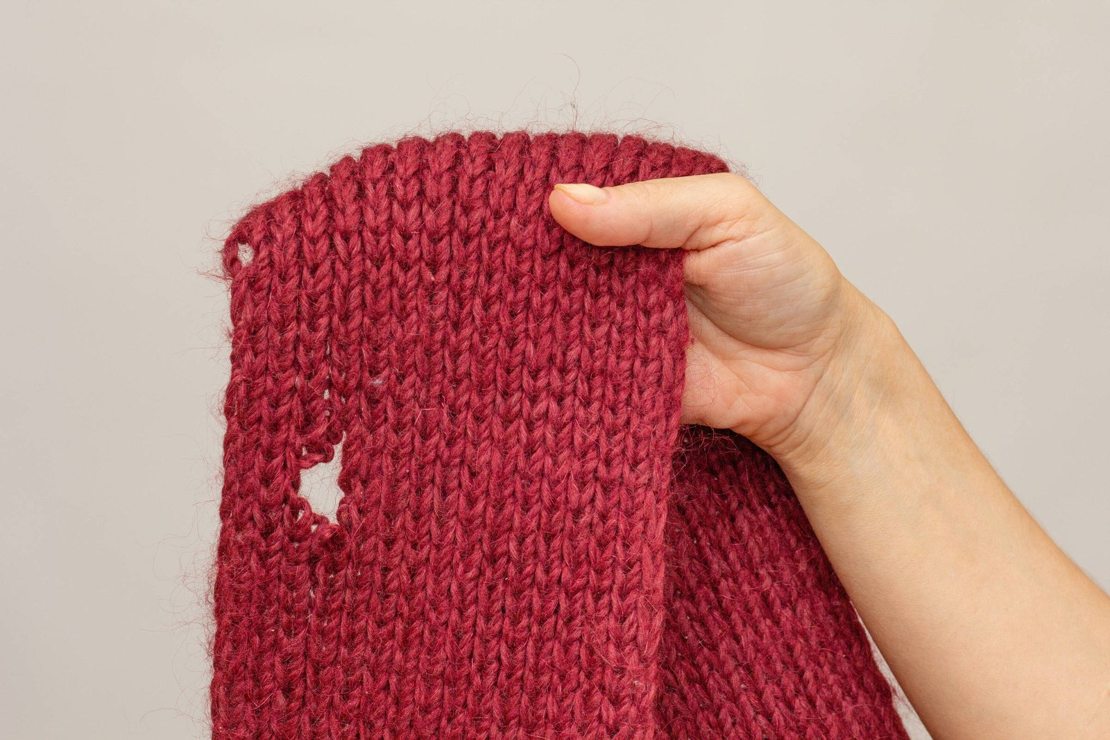 Como se livrar das traças em casa – 07/03/2026 – Tudo + um pouco