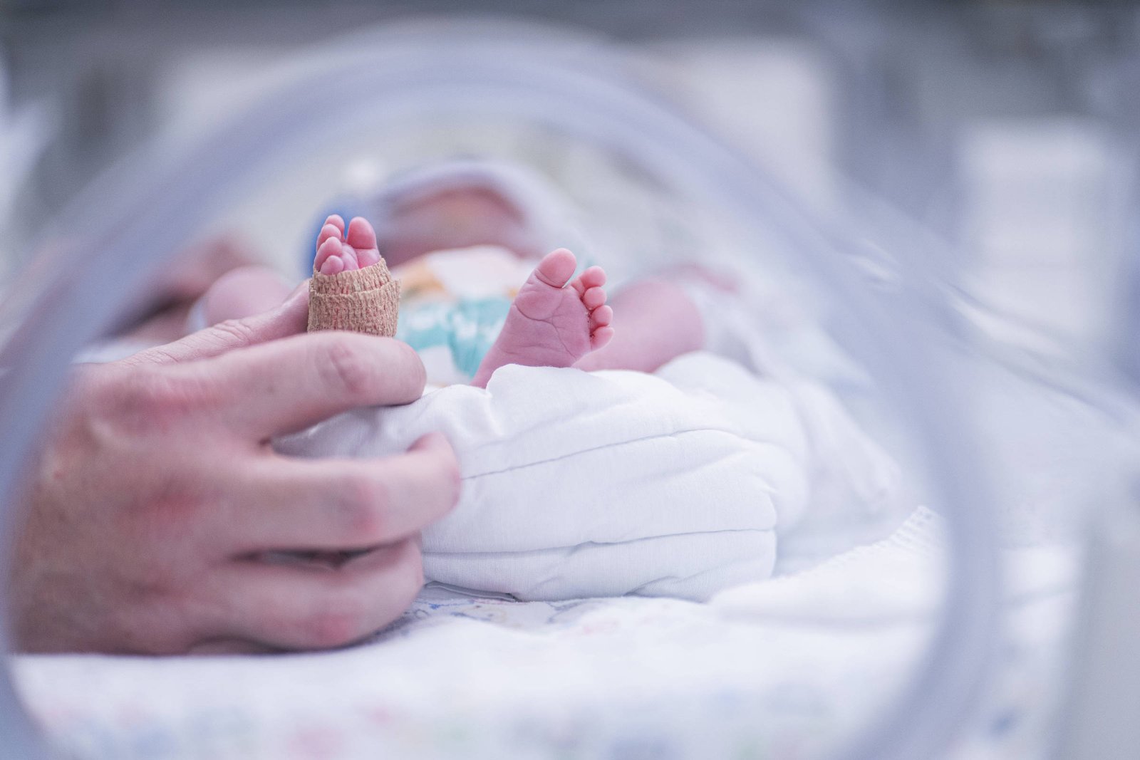 Herpes congênita faz bebês ficarem mais tempo na UTI - 10/04/2026 - Equilíbrio e Saúde