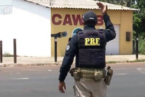 Caça ilegal deixa rastros nas rodovias brasileiras - 20/04/2026 - Ambiente