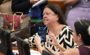 Discussão e votação de propostas legislativas. Dep. Laura Carneiro (PSD - RJ)