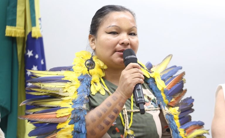 Lideranças indígenas cobram na Câmara criação de Comissão Nacional Indígena da Verdade – Notícias