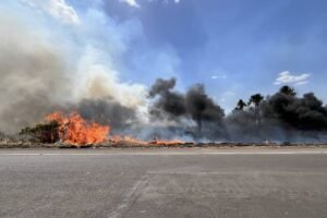 Fogo consome vegetação rasteira à beira de uma estrada asfaltada sob céu azul com poucas nuvens. Fumaça preta e cinza densa se espalha horizontalmente, obscurecendo árvores ao fundo.