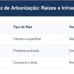 3 árvores de crescimento rápido cujas raízes não danificam a calçada, perfeitas para pátios de entrada