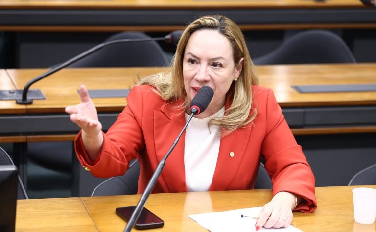 Comissão aprova projeto que cria diretrizes nacionais para as Rondas Maria da Penha – Notícias