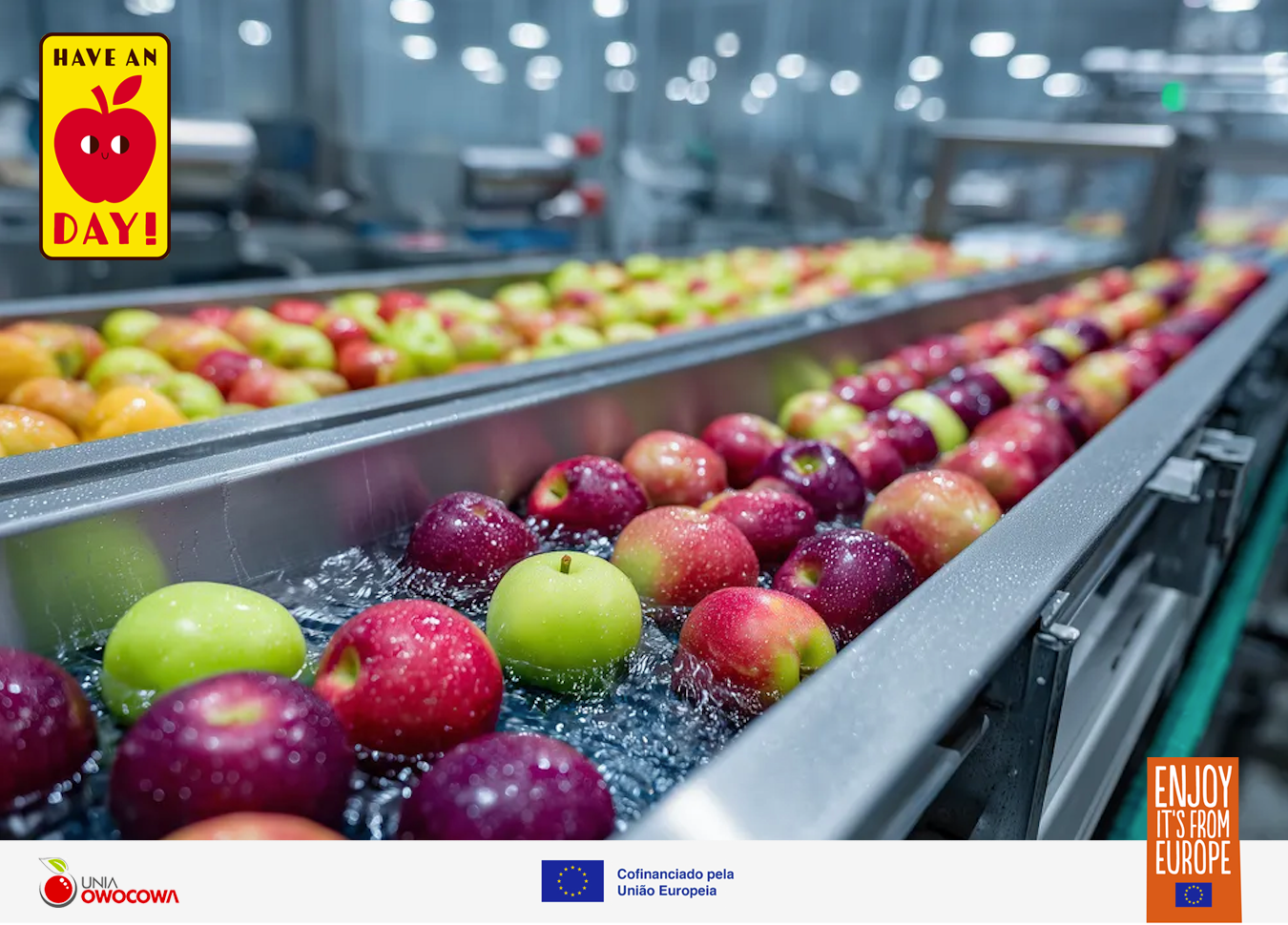 Segurança alimentar impulsiona demanda por maçãs europeias no Brasil e reforça confiança dos consumidores