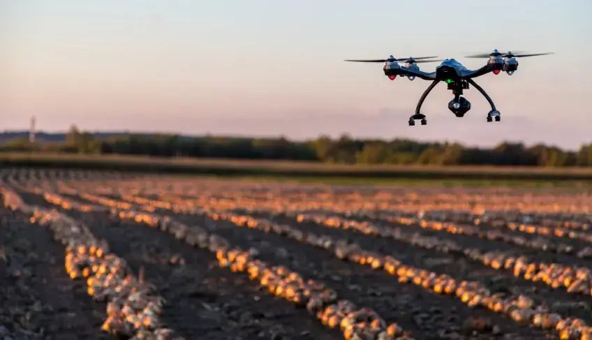 Da proteção ambiental ao streaming sob demanda: startups paricipam da Arena Sebrae na Bahia Farm Show | ASN Bahia