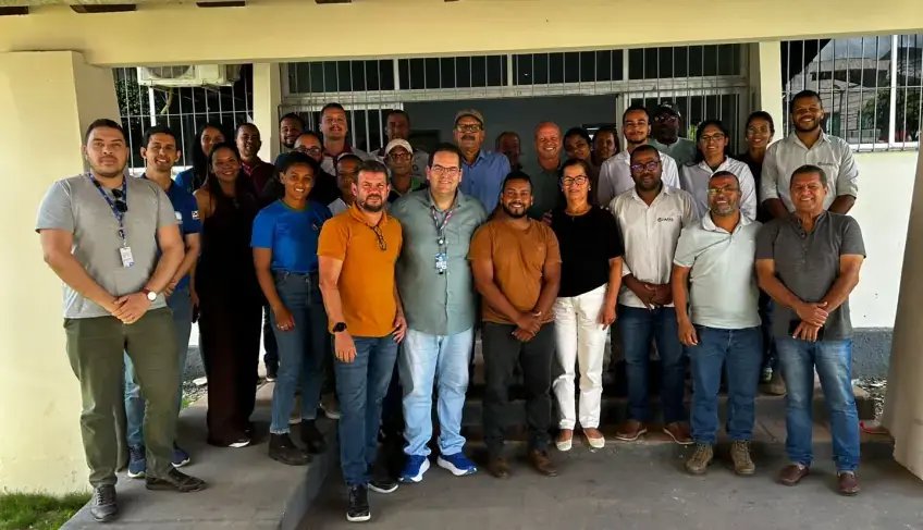 Indicação geográfica da banana no Baixo Sul Baiano busca valorização do produto na região | ASN Bahia
