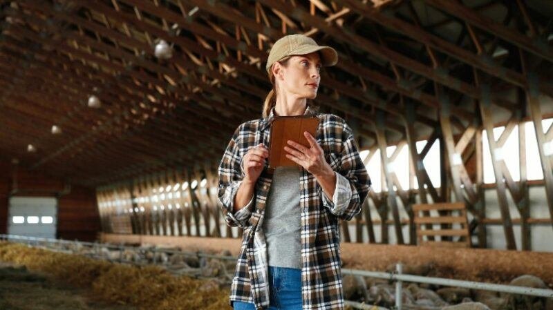eLearning para equipes de campo: o que está faltando?