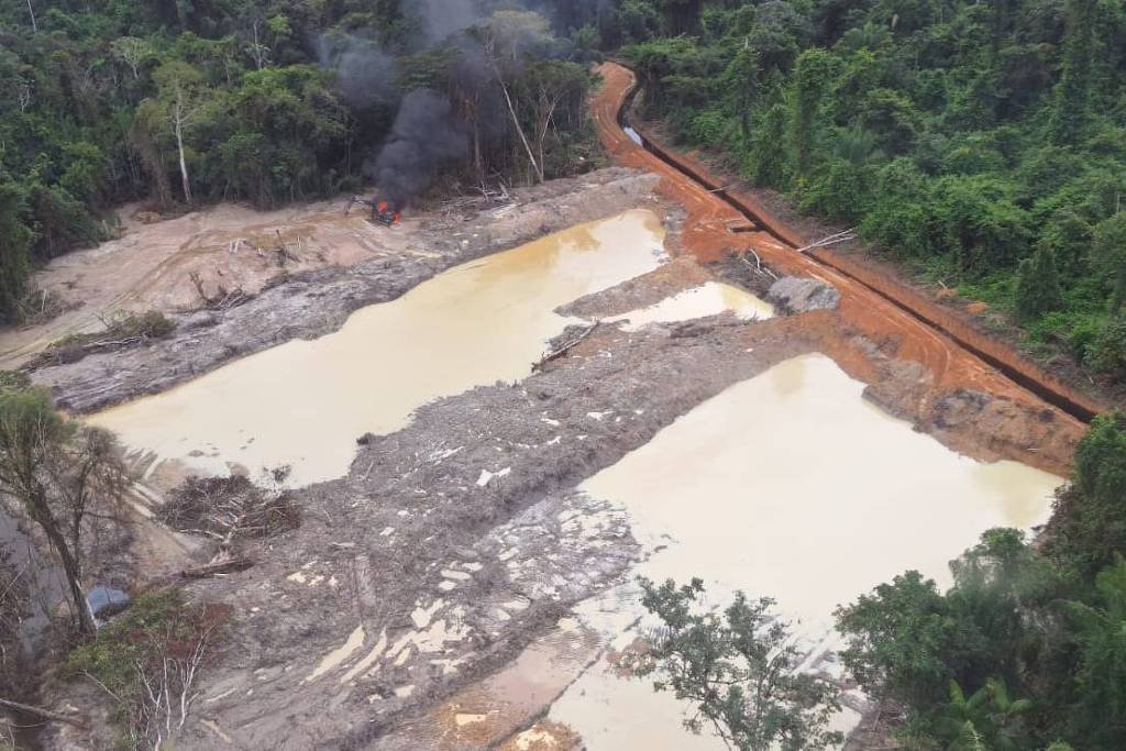Garimpo ilegal no Amapá cresce após expulsões - 10/07/2026 - Cotidiano