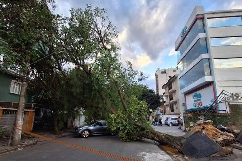 Árvore grande caiu atravessando uma rua residencial, bloqueando a passagem. Um carro prata está parcialmente coberto pela árvore caída. Casas e um prédio comercial de vidro estão visíveis ao redor. Céu com nuvens ao fundo.