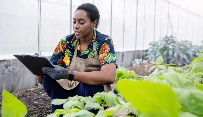 Trilha Sabores da Terra chega a Remanso com capacitação para mulheres empreendedoras rurais | ASN Bahia