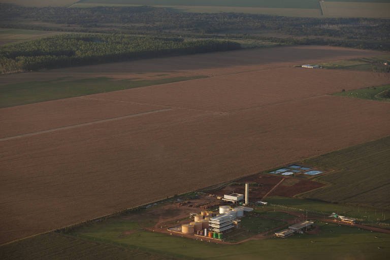 Biodiesel marítimo fica mais barato que combustível fóssil – 20/09/2026 – Economia sustentável