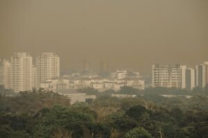 Vista panorâmica mostra prédios residenciais altos ao fundo com céu encoberto por névoa densa, indicando poluição do ar. Vegetação densa aparece em primeiro plano.