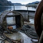Peixes encontrados nas profundezas de lagos da Nova Zelândia